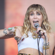 Illustration for article titled Miley Gets the Dogs